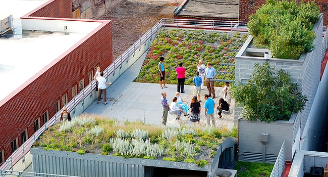 A view of ASLA’s green roof from a nearby building