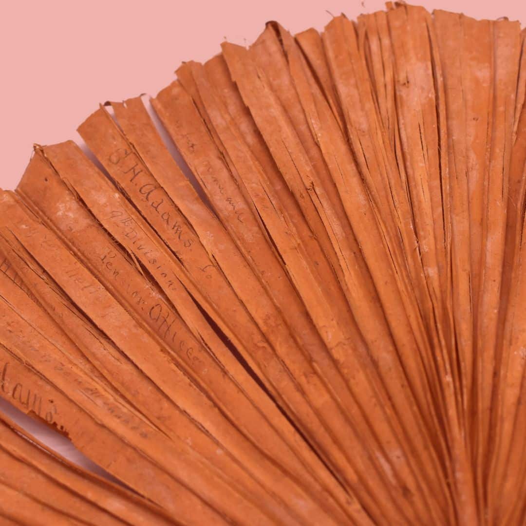 Pension Building Artifact: Hand Fan