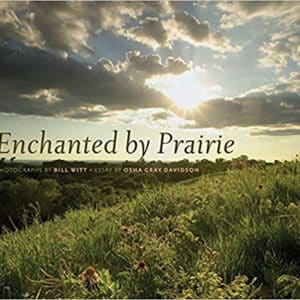 Enchanted by Prairie