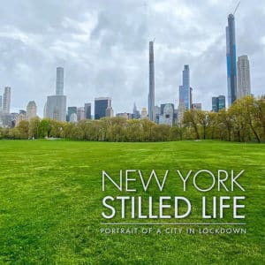 New York: Stilled Life (Hardcover)