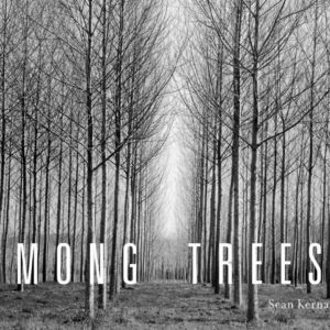 Among Trees