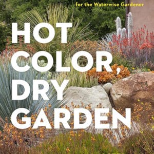 Hot Color, Dry Garden: Inspiring Designs and Vibrant Plants for the Waterwise Gardener