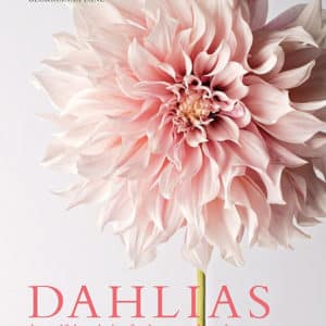 Dahlias: Beautiful Varieties for Home & Garden