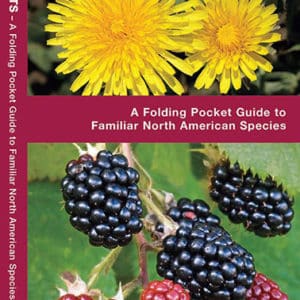 Edible Wild Plants: A Folding Pocket Guide to Familiar North American Species (Nature Observation North America) Pamphlet