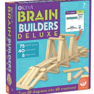 BLDG BLOX BRAIN BUILDERS DELUXE