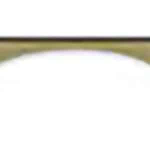 Woodrow Wilson Bridge