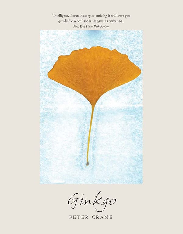 Ginkgo: The Tree That Time Forgot (Hardcover)