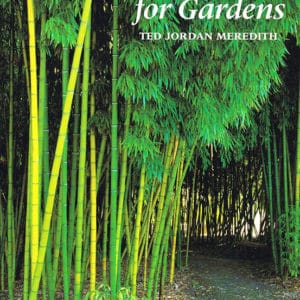 Bamboo for Gardens
