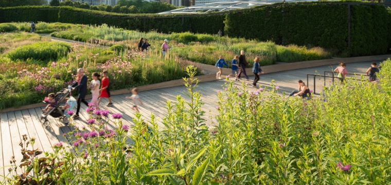 Spotlight on Design: GGN