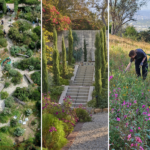 Landscape Architecture Month Q&A with TERREMOTO
