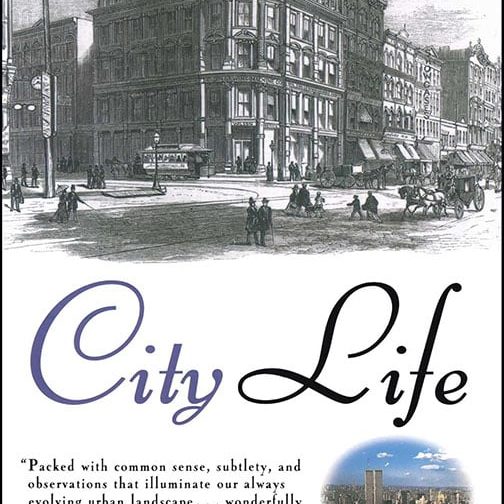 17567 City Life