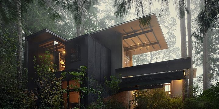 1771963455 02006 00 Olson Cabin N3 High300 Diane Rhyu Taylor