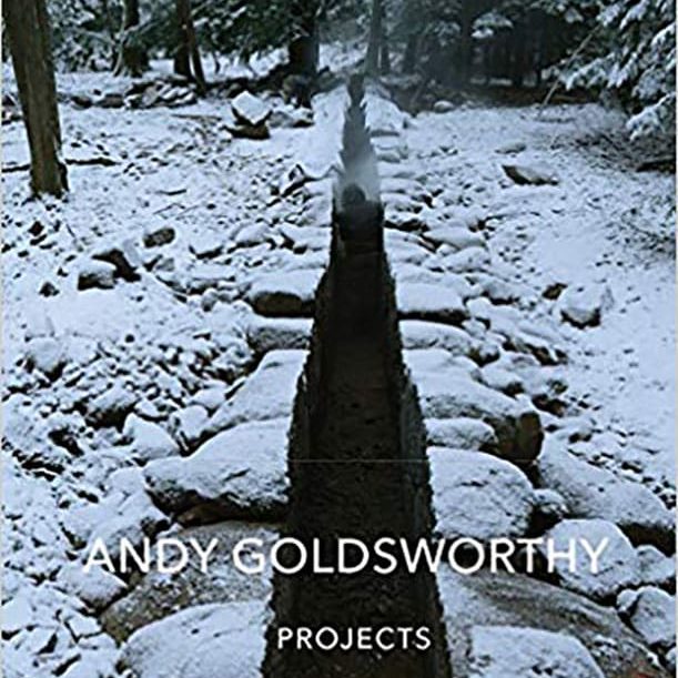 34889 Andy Goldsworthy Projects