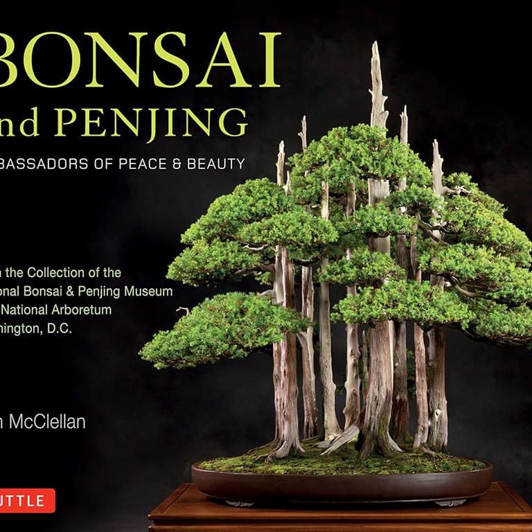 38276 Bonsai And Penjing