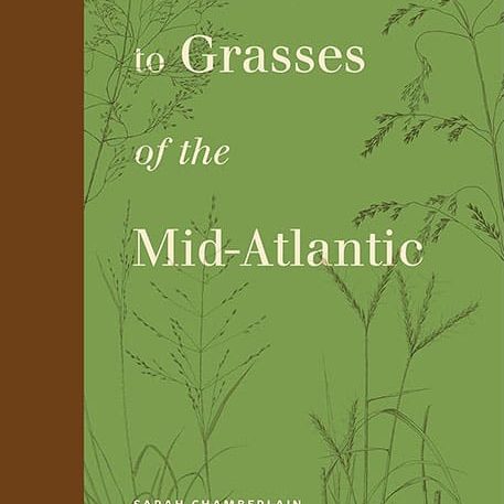 38610 Field Guide To Mid Atlantic Grasses