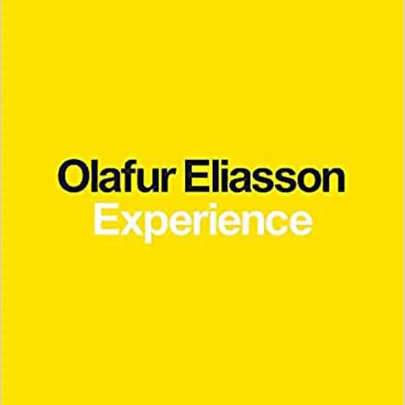 39313 Olafur Eliasson Experience