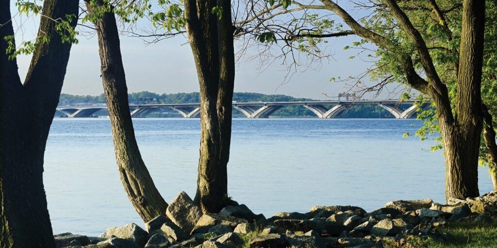 4e3b9208 9601 4f4c 8266 03197e822c8c