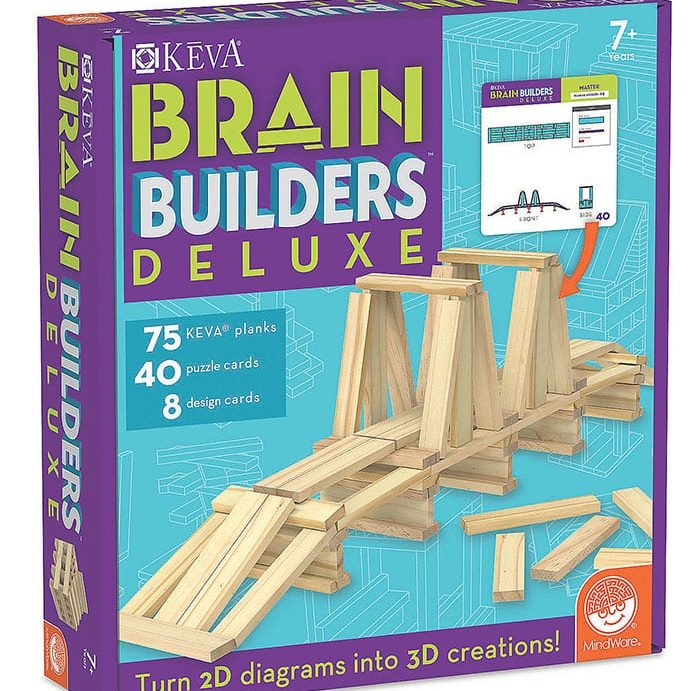 55813 Bldg Blox Brain Builders Deluxe