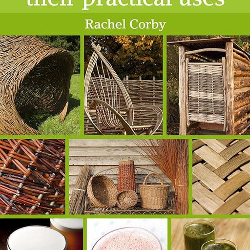 92365 20 Amazing Plants