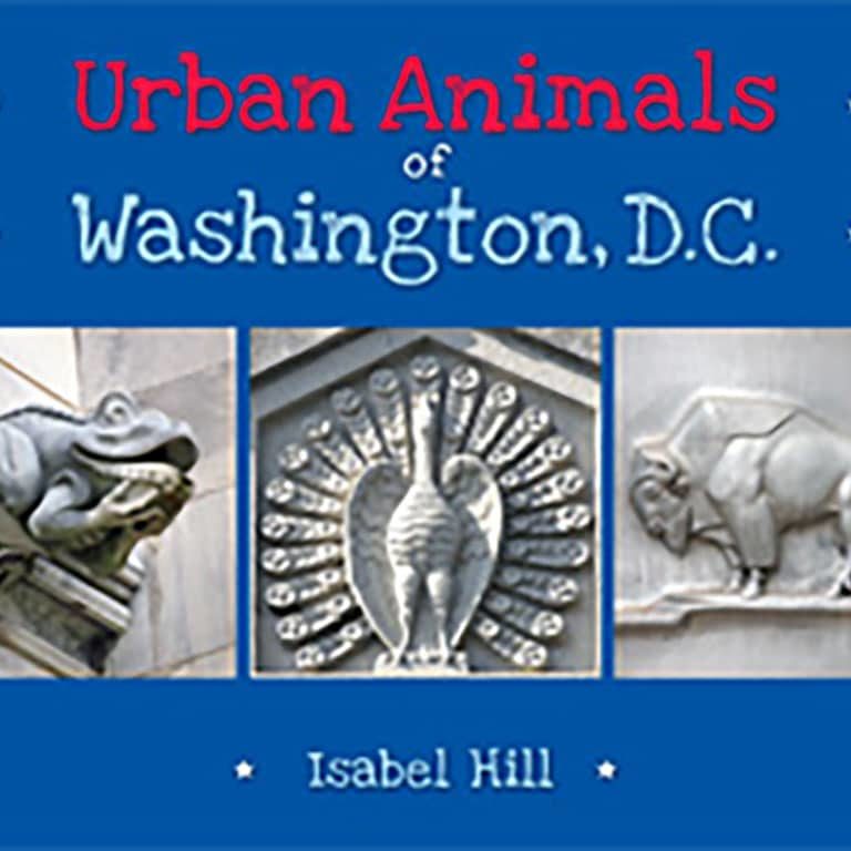 96829 Urban Animals Of Dc