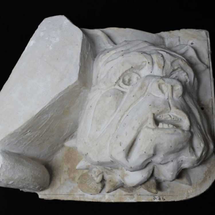 Plaster cast of a dog head.