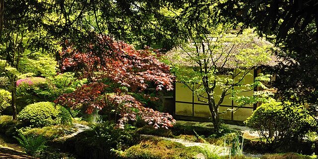 Japanese Garden Tatton Park 01 Caroline Morales